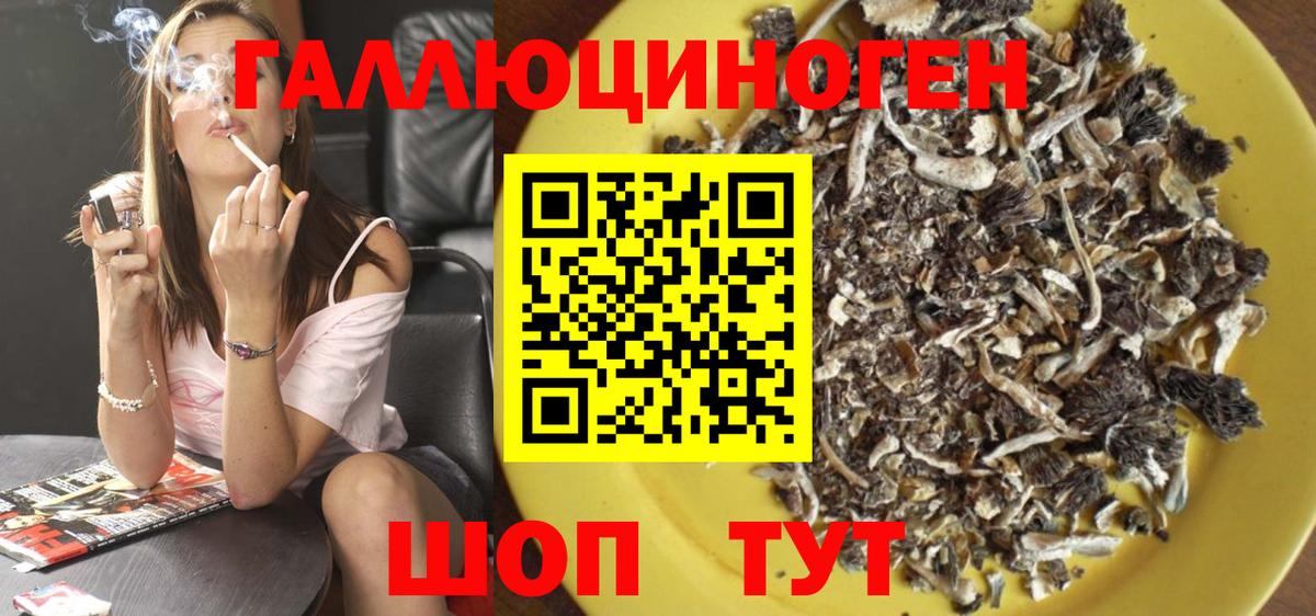 Галлюциногенные грибы Psilocybine cubensis  наркошоп  Александров  Вход с VPN 