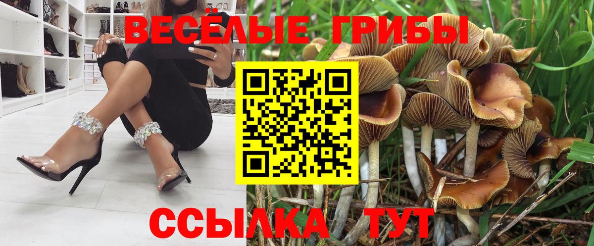 Псилоцибиновые грибы GOLDEN TEACHER Александров